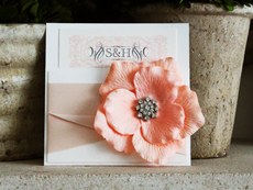 Invitation 732: Antique Pearl, Cream Smooth, English Adagio, High Tower, Blush Ribbon, Blush Ribbon, Brooch/Buckle A9, Flower Color Peach