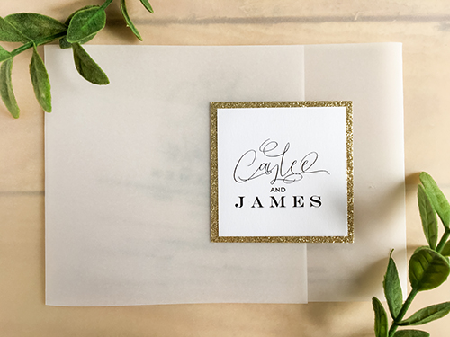 Invitation 2210: This is an invitation that uses a vellum lightweight and transparent paper.  It opens into a three fold with a pocket on the inside.  The front of the invite had a square tag with the name of the bride and groom to close the invite.